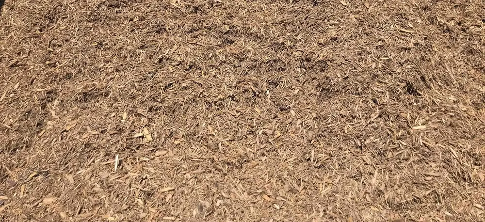 Local yard maintenance in Commerce, GA by Legacy Landscape Supply