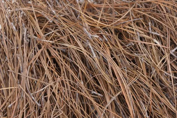 Legacy Landscape Supply