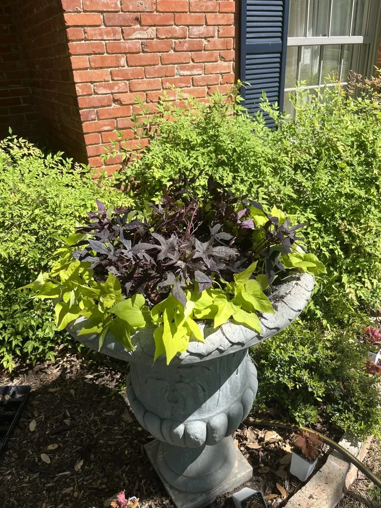 Reliable garden landscaping for beautiful yards across Abilene, TX - Legacy Landscapes