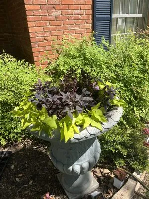 Legacy Landscapes Logo