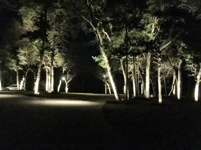 Professional landscaping services in Waco, TX - Legacy Landscapes