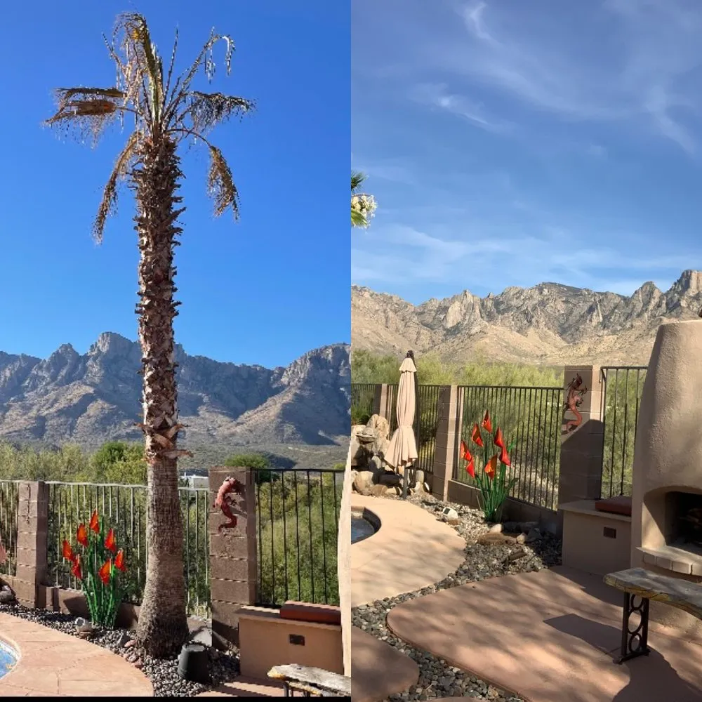 Expert landscape installation in Tucson, AZ by Legacy Landscaping & Design