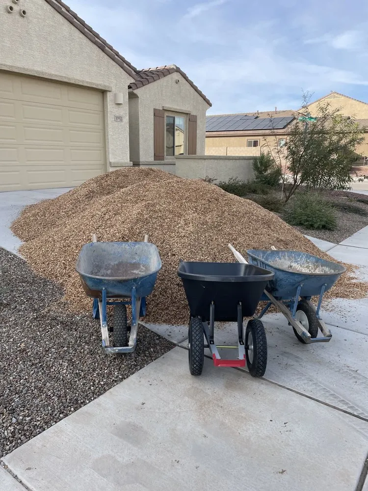 Expert landscape design for year-round maintenance across Tucson, AZ - Legacy Landscaping & Design