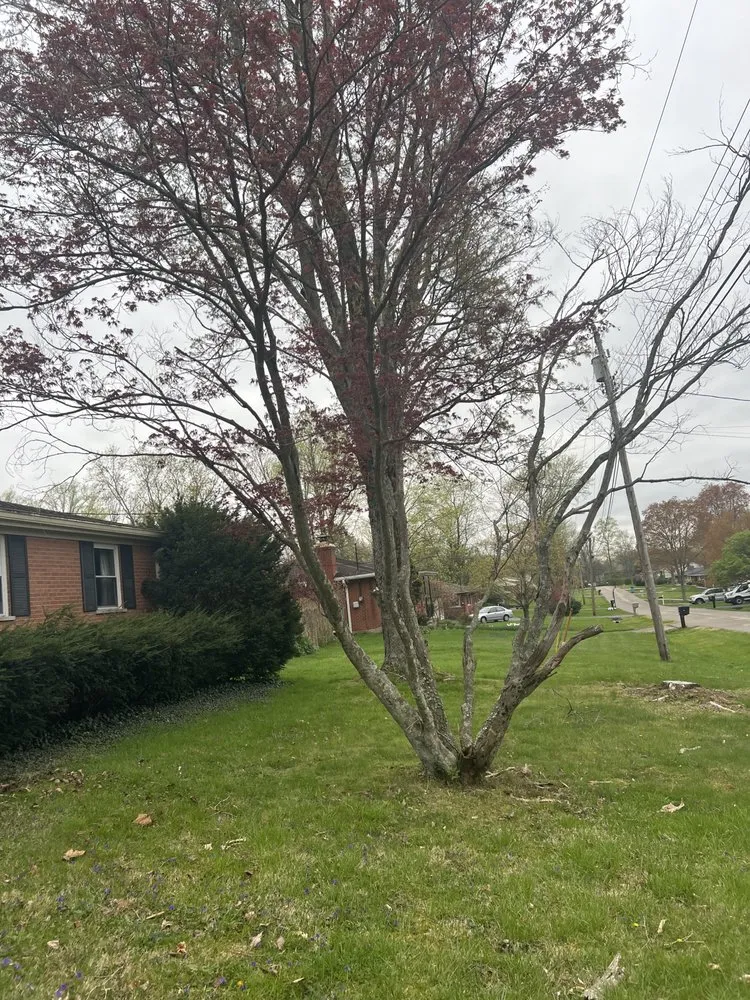 Professional landscape design experts serving Amelia, OH - Legacy Landscaping