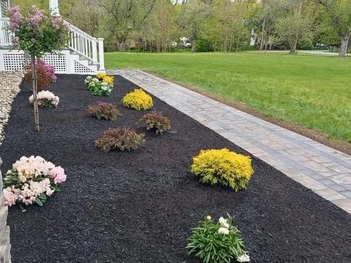 Expert lawn care service for year-round maintenance in Maysville, NC by Legacy Landscaping