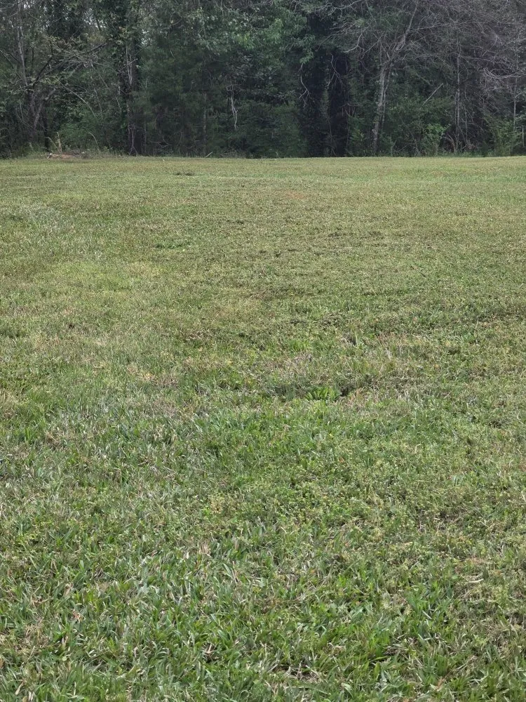 Affordable yard maintenance for homes in Milledgeville, GA by Legacy Landscaping