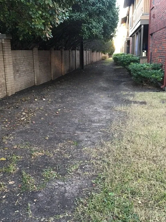 Local yard cleanup service in Plano, TX - Legacy Landscaping