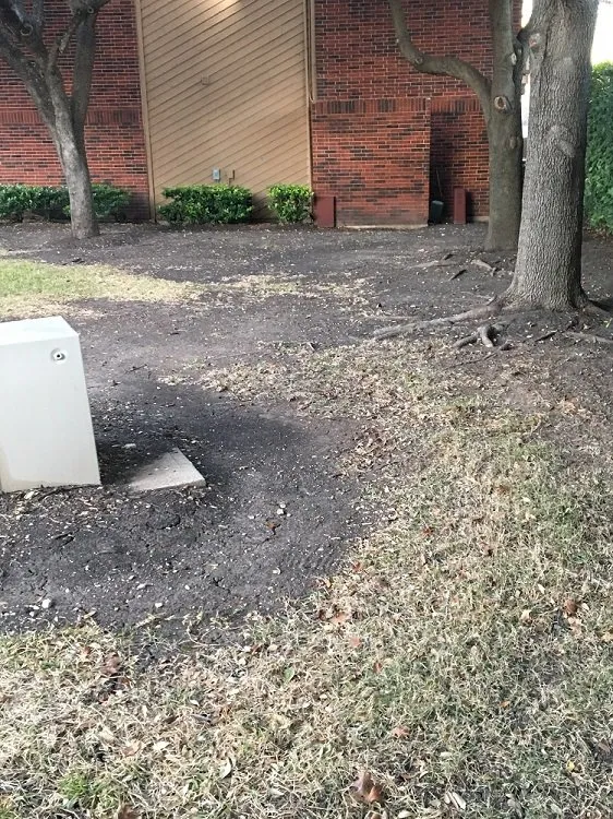 Trusted landscape installation experts serving Plano, TX - Legacy Landscaping