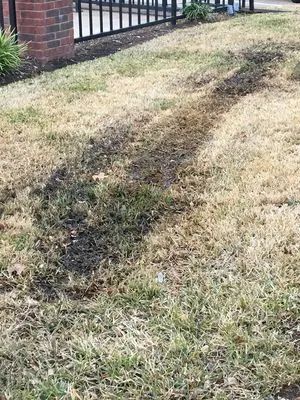 Legacy Landscaping Logo