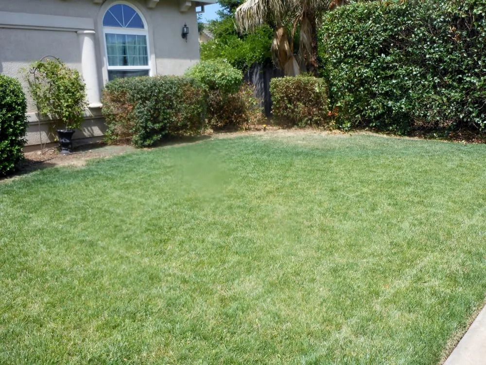 Affordable yard cleanup service in Shasta Lake, CA - Legacy Lawn & Landscape
