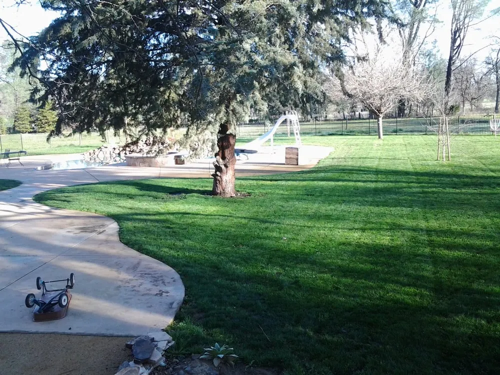 Local yard cleanup service for residential properties across Shasta Lake, CA - Legacy Lawn & Landscape