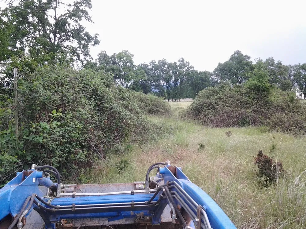 Custom landscape installation in Shasta Lake, CA by Legacy Lawn & Landscape
