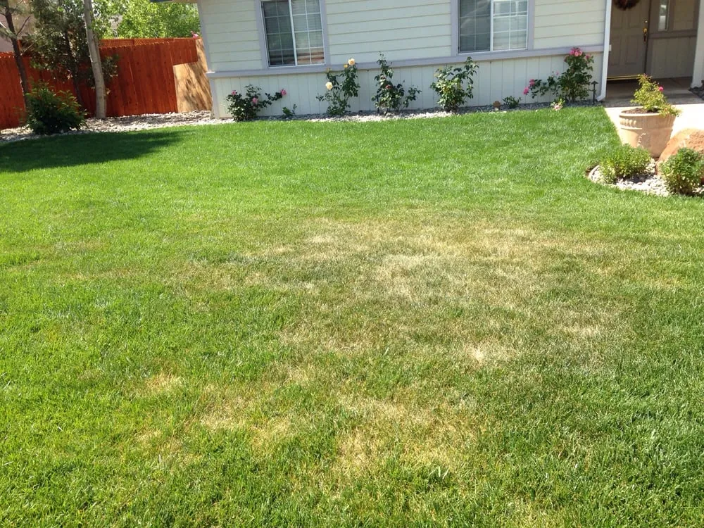 Reliable lawn care service in Shasta Lake, CA by Legacy Lawn & Landscape