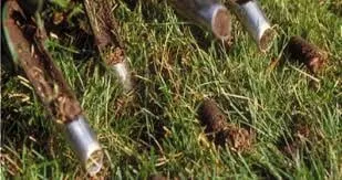 Trusted yard maintenance in Shasta Lake, CA - Legacy Lawn & Landscape