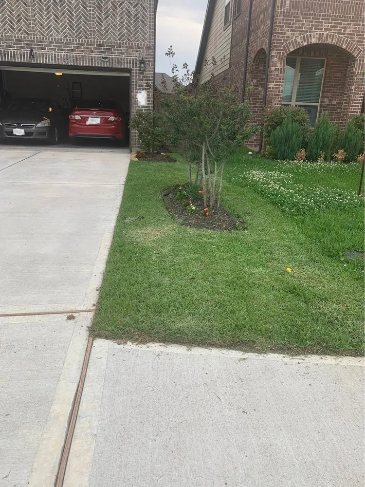 Affordable yard cleanup service in Houston, TX by Legacy Lawn & Landscapes