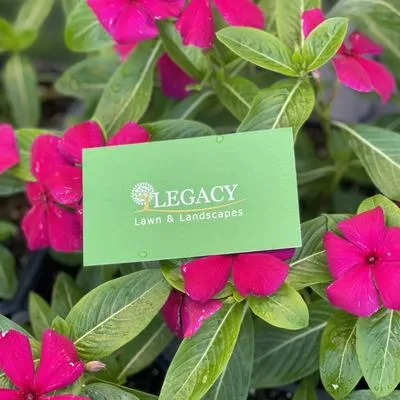 Legacy Lawn & Landscapes Logo