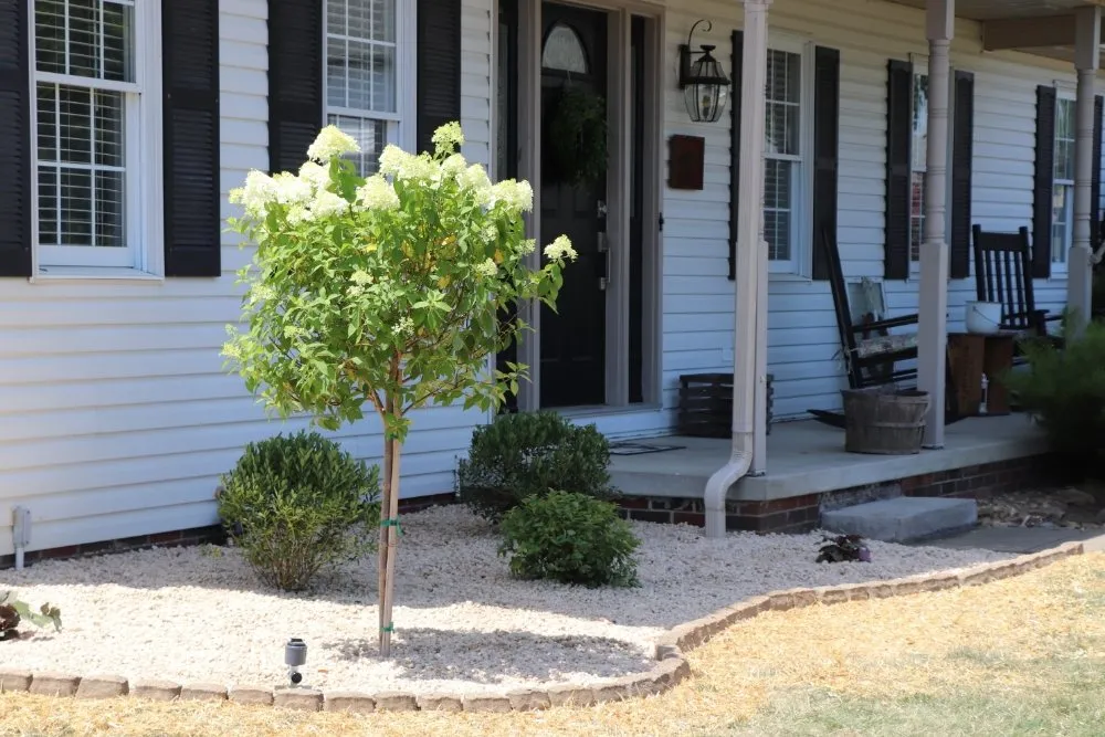 Trusted lawn mowing service for beautiful yards across Dover, OH - Legacy Lawn & Landscaping