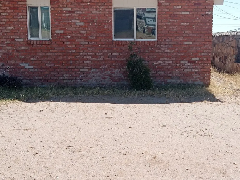 Reliable lawn care service near you across El Paso, TX - Legacy Lawn & Remodeling