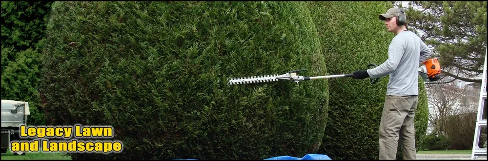 Top-rated yard maintenance in Lubbock, TX by Legacy Lawn and Landscape