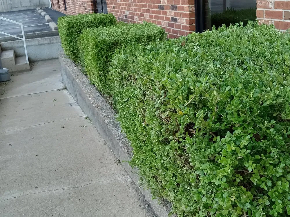 Custom lawn care service experts serving Union, MO - Legacy Lawn and Landscape