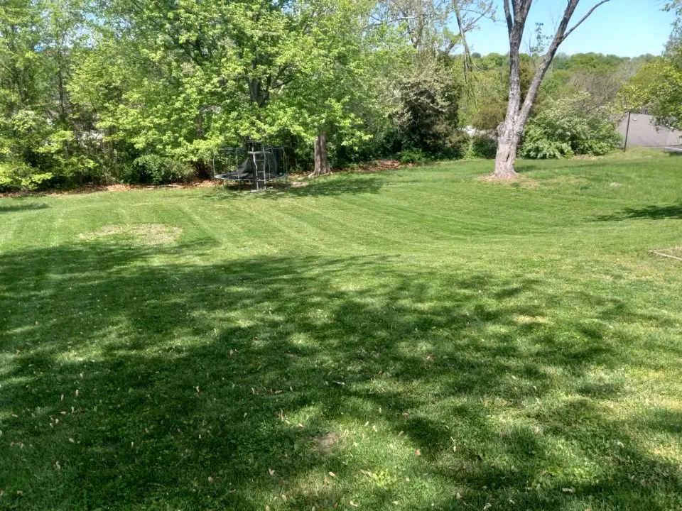 Affordable landscaping services in Union, MO by Legacy Lawn and Landscape