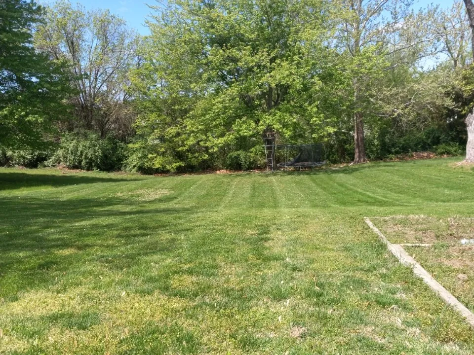 Trusted yard cleanup service for beautiful yards across Union, MO - Legacy Lawn and Landscape
