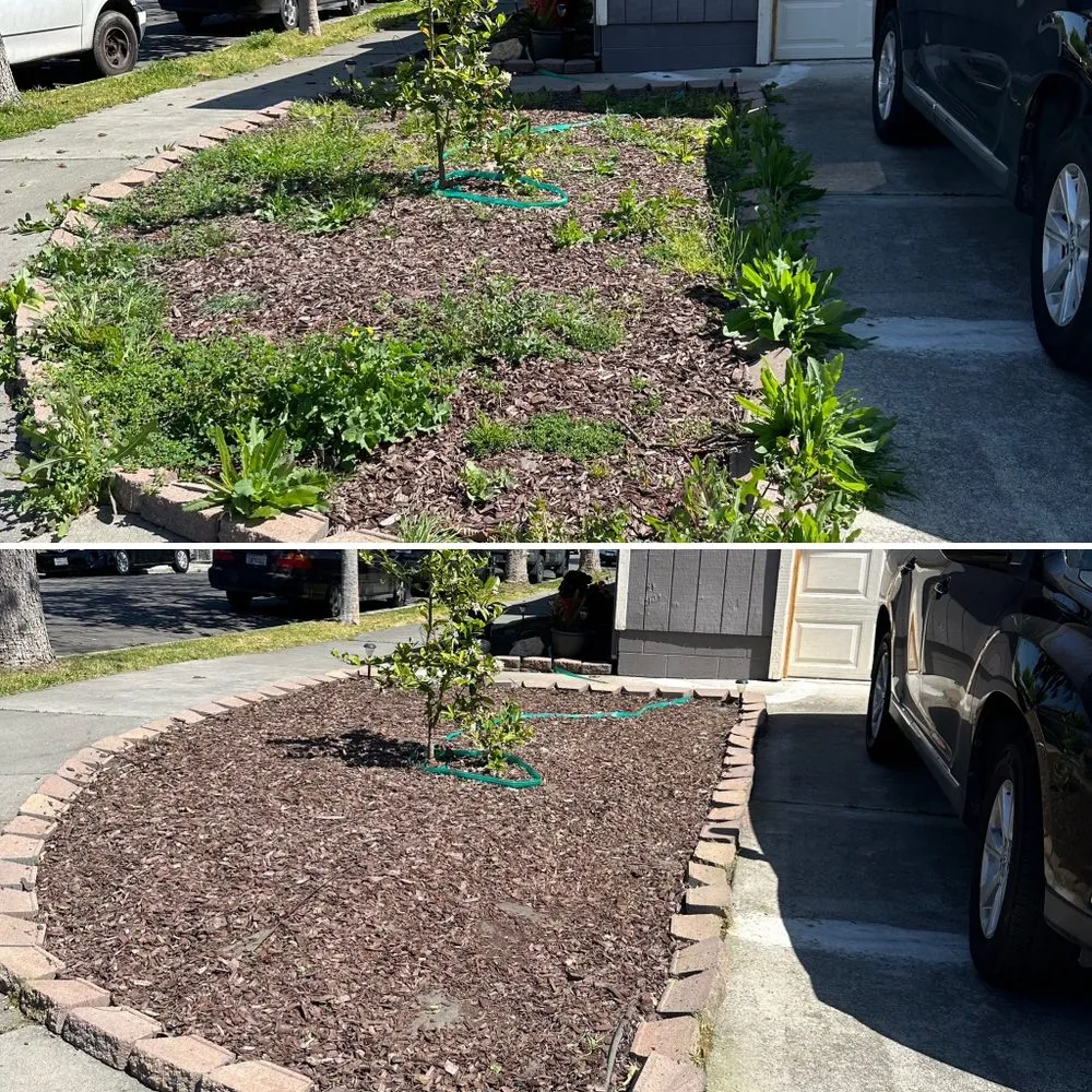 Reliable yard maintenance in Stockton, CA - Legacy Lawn Care & Landscaping