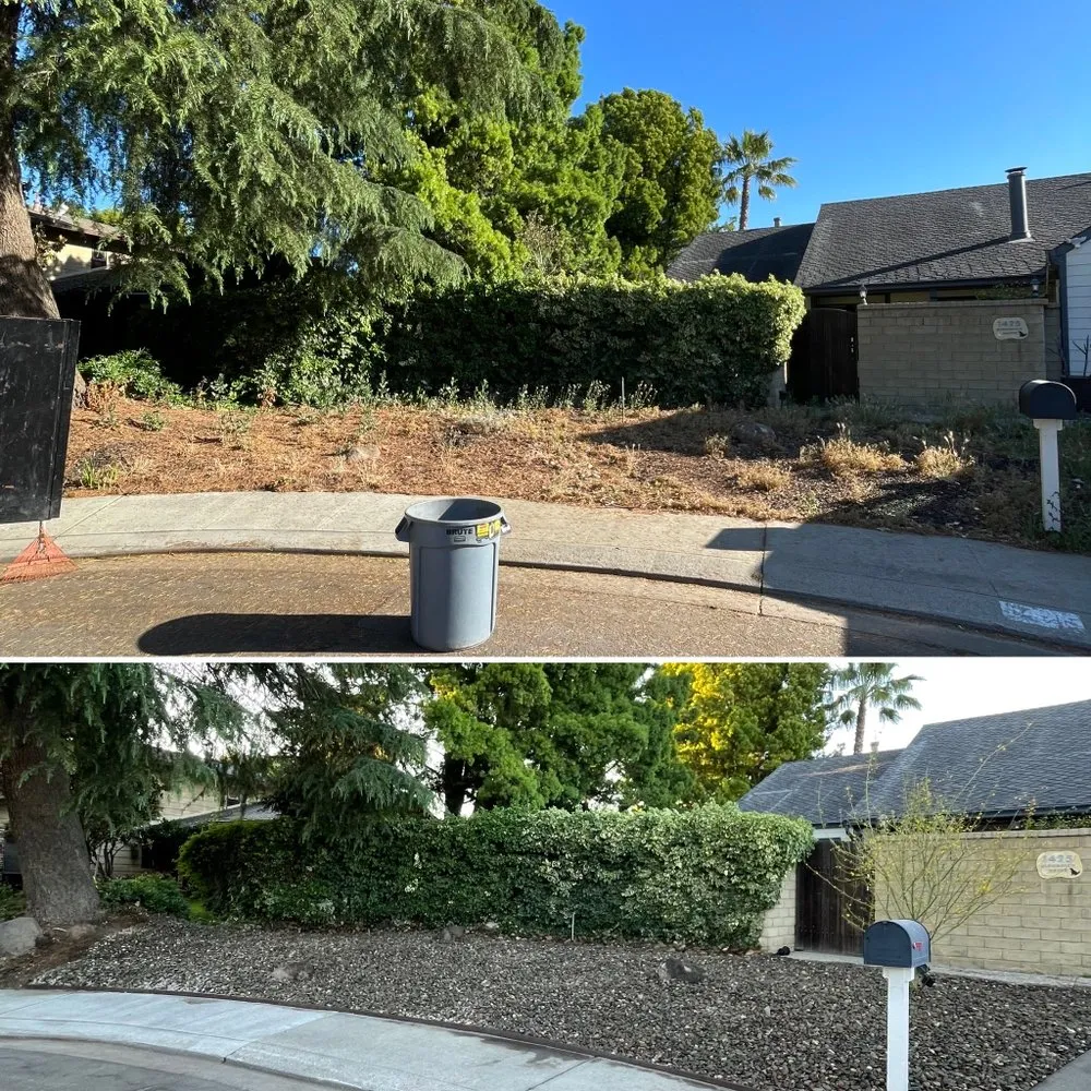 Trusted landscape design in Stockton, CA by Legacy Lawn Care & Landscaping