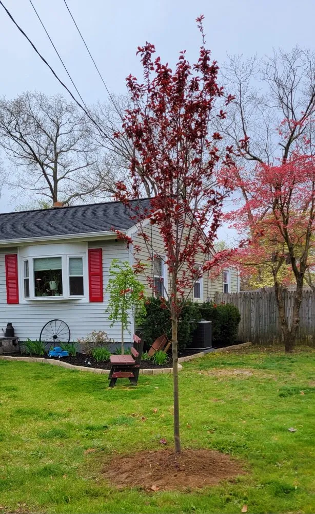 Affordable yard cleanup service for homes in Williamstown, NJ by Legacy Lawn Care & More