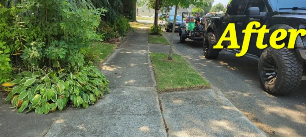 Trusted yard cleanup service in Williamstown, NJ by Legacy Lawn Care & More