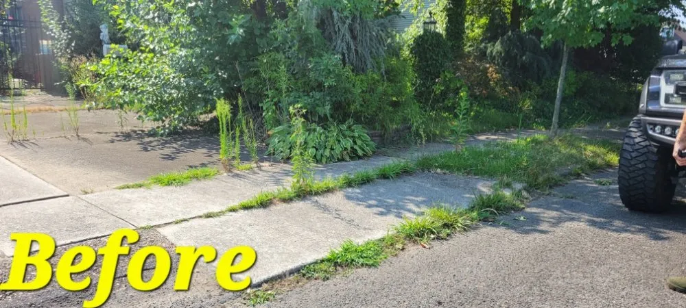 Reliable yard maintenance experts serving Williamstown, NJ - Legacy Lawn Care & More