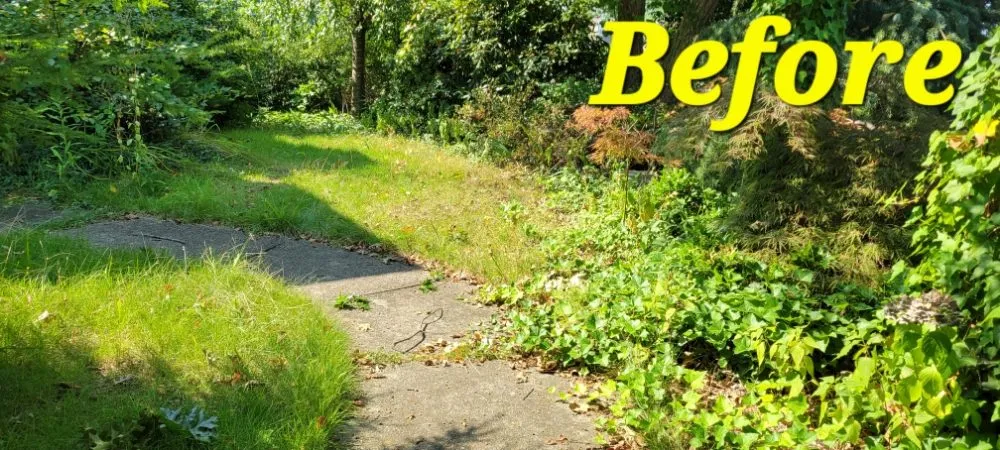 Top-rated landscape design for outdoor upgrades across Williamstown, NJ - Legacy Lawn Care & More