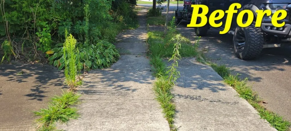 Reliable landscape design experts serving Williamstown, NJ - Legacy Lawn Care & More