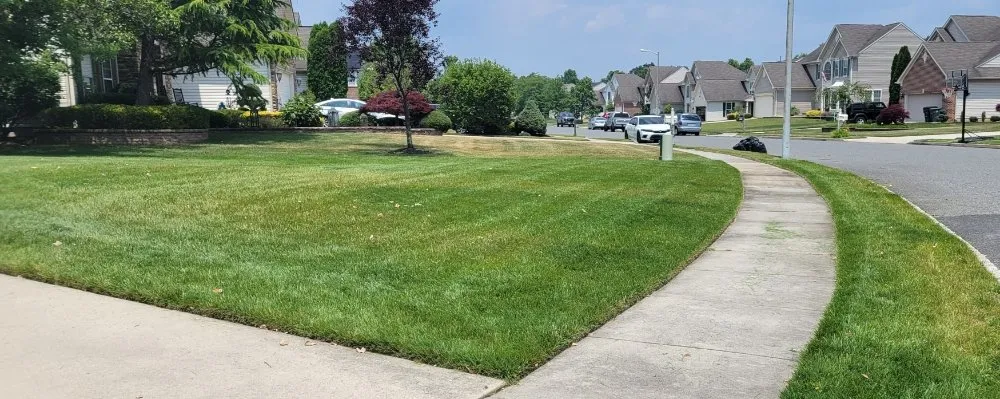 Professional yard cleanup service experts serving Williamstown, NJ - Legacy Lawn Care & More