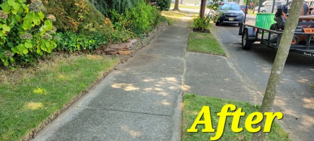Custom yard cleanup service experts serving Williamstown, NJ - Legacy Lawn Care & More