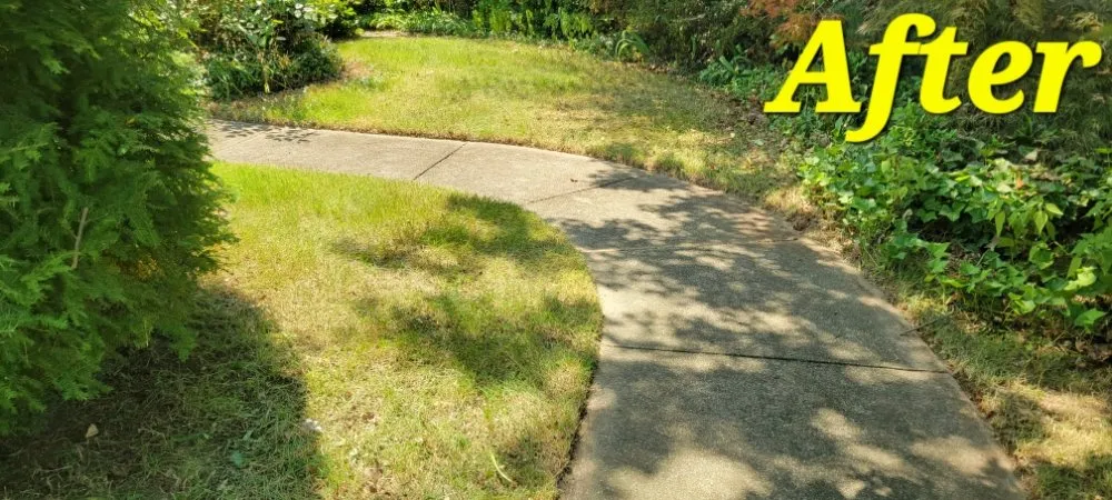 Trusted yard maintenance for outdoor upgrades across Williamstown, NJ - Legacy Lawn Care & More