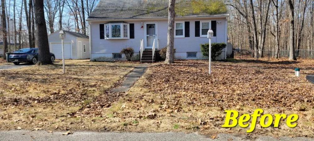 Trusted lawn care service for year-round maintenance across Williamstown, NJ - Legacy Lawn Care & More