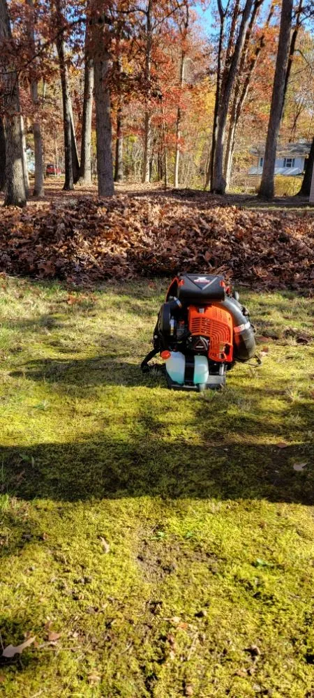 Affordable landscaping services experts serving Williamstown, NJ - Legacy Lawn Care & More