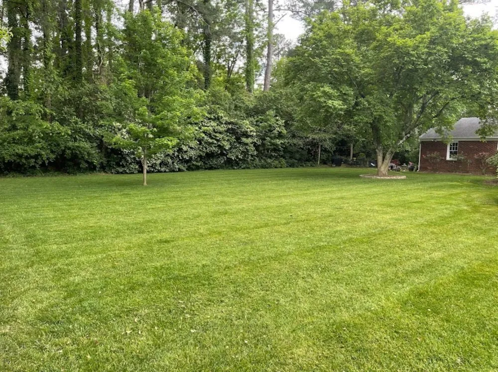 Professional yard maintenance in Anderson, SC - Legacy Lawn Care