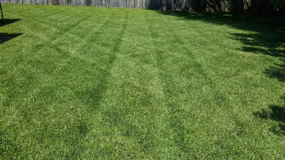 Reliable residential landscaping for year-round maintenance across Baton Rouge, LA - Legacy Lawn Care