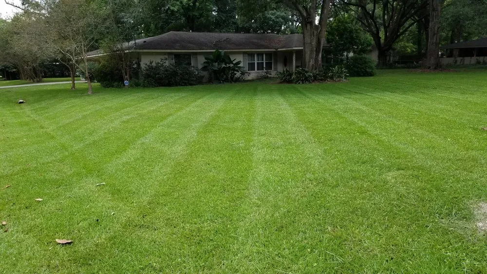 Local residential landscaping in Baton Rouge, LA - Legacy Lawn Care