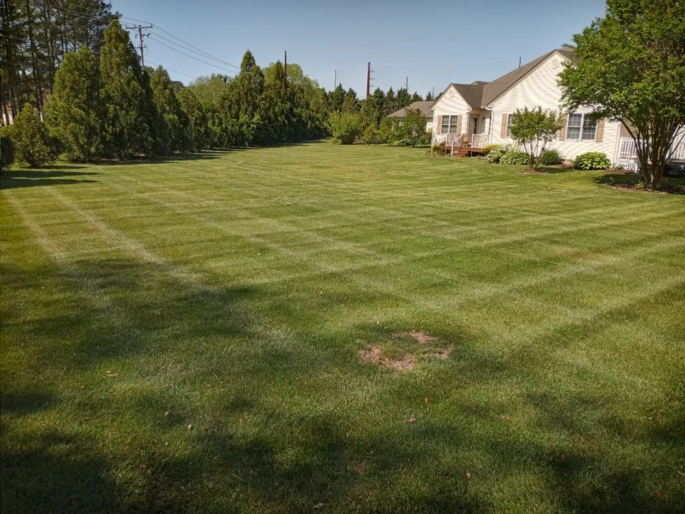 Trusted yard maintenance in Federalsburg, MD by Legacy Lawn Care