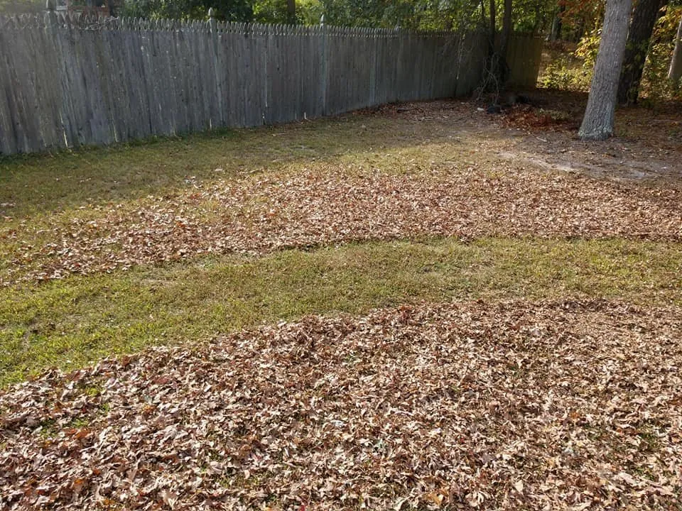 Professional landscape design for beautiful yards across Galloway, NJ - Legacy Lawn Care