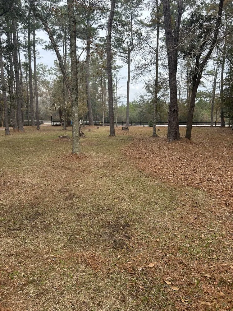 Local yard cleanup service in Bayou La Batre, AL - Legacy Lawn Maintenance