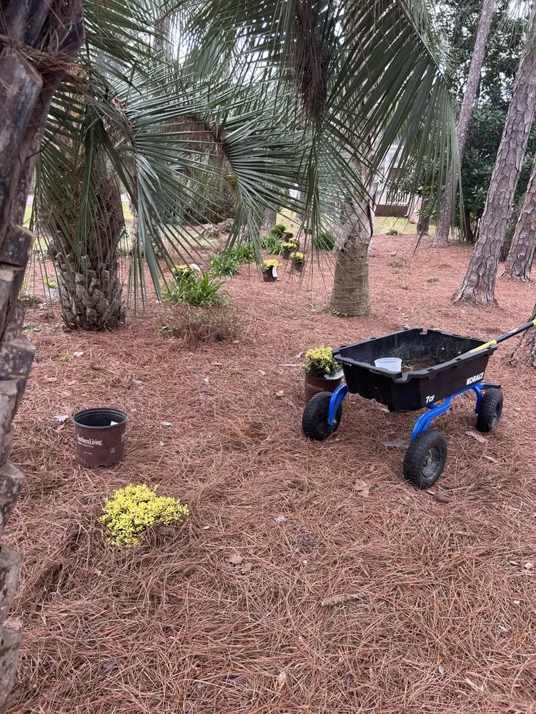 Reliable landscaping services in Bayou La Batre, AL - Legacy Lawn Maintenance