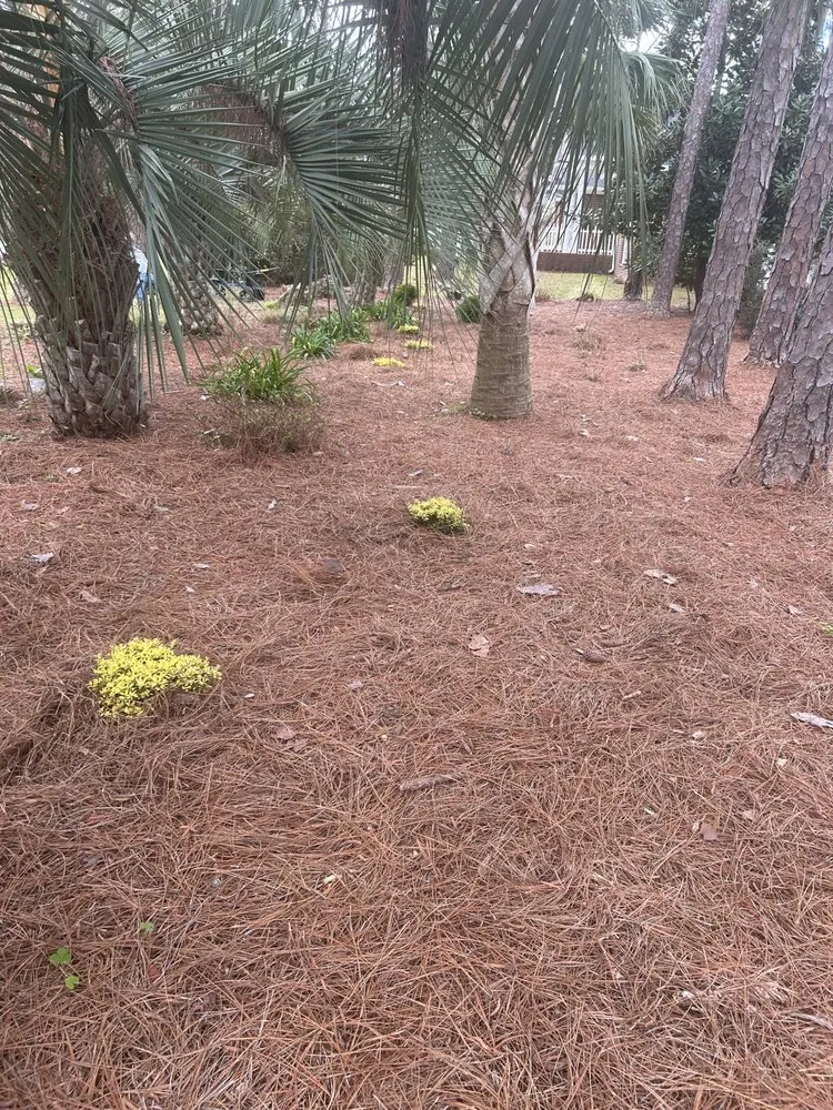 Affordable landscape design for beautiful yards in Bayou La Batre, AL by Legacy Lawn Maintenance