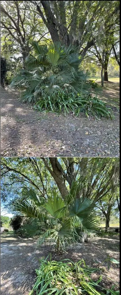 Top-rated lawn care service for outdoor upgrades in Cypress Gardens, FL by Legacy Lawn Pros