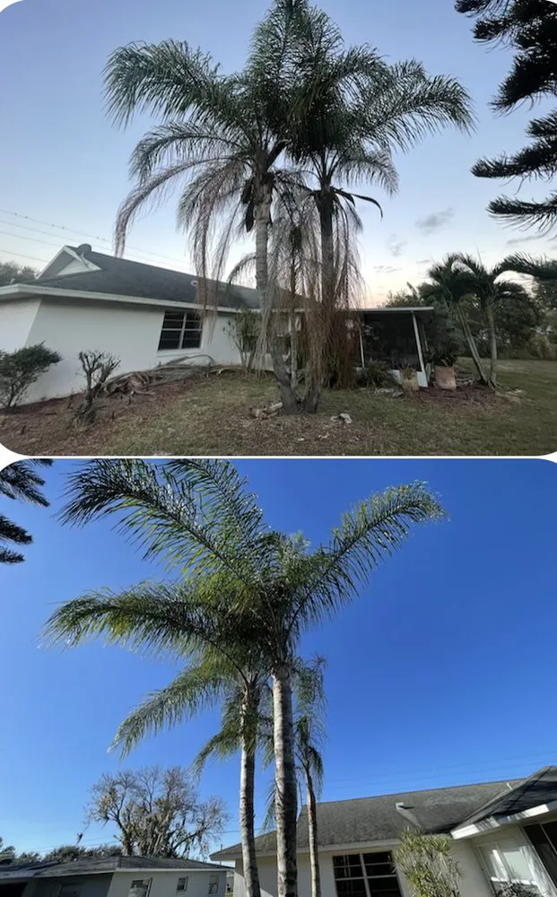 Trusted garden landscaping in Cypress Gardens, FL - Legacy Lawn Pros