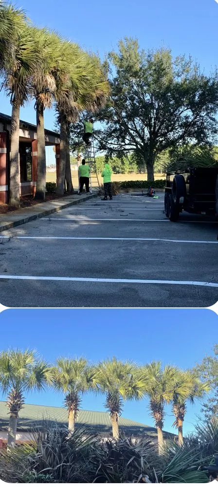 Expert lawn care service for beautiful yards across Cypress Gardens, FL - Legacy Lawn Pros