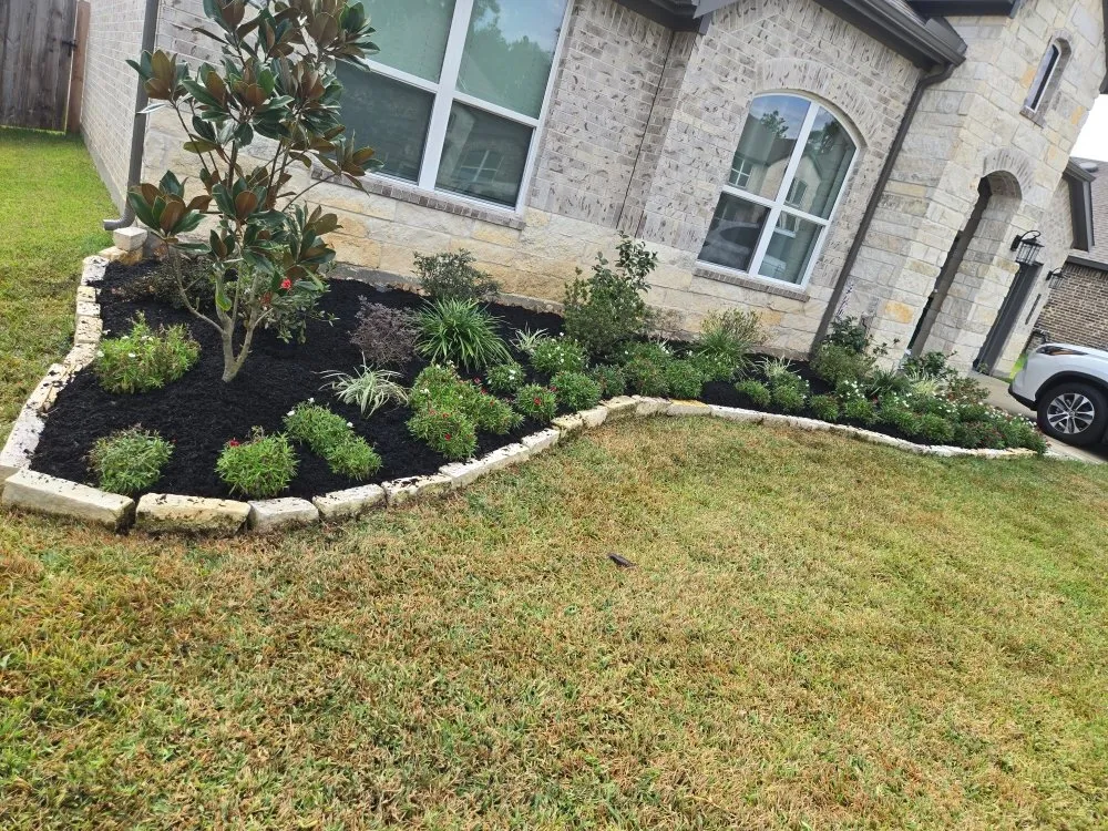 Top-rated yard cleanup service experts serving Magnolia, TX - Legacy Lawn Service & Landscape
